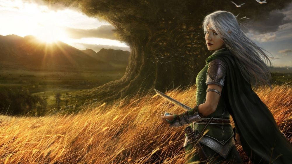 elf 2