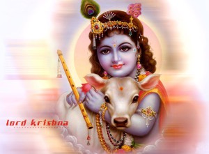 Krishna 6