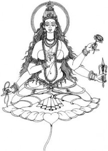 matangi