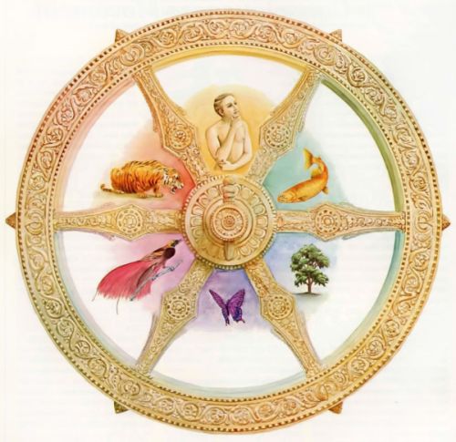 sansara