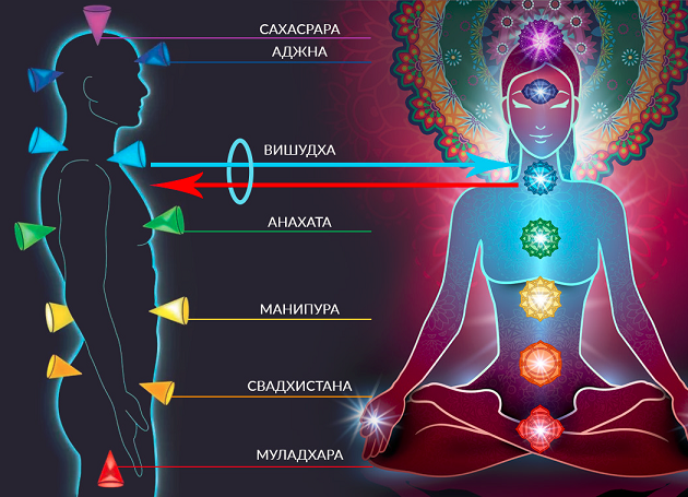 chakra's system